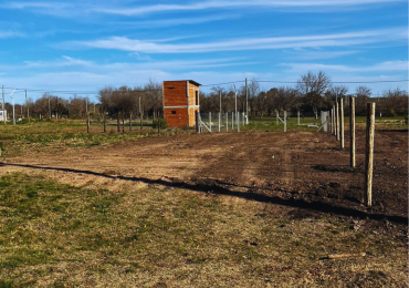 Terreno en Altos del Este - San Benito